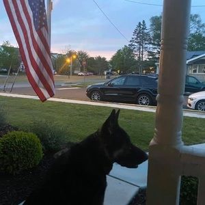 Meet your Posher, Richard